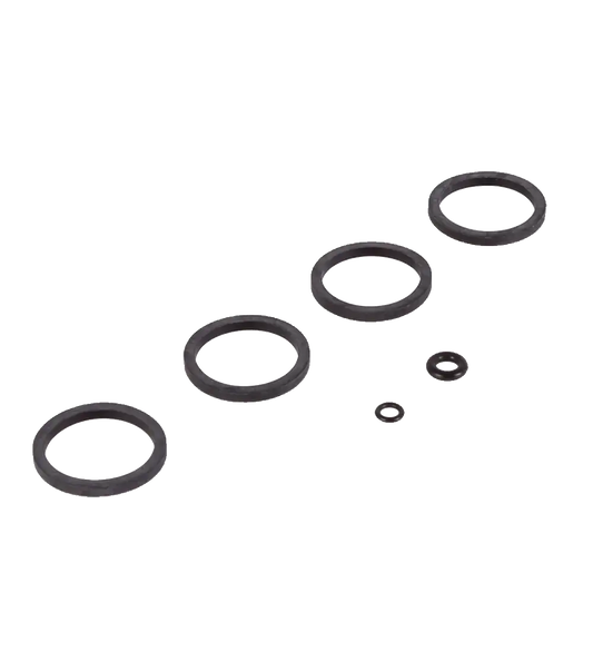Kit Sellos Formula Cura 4 (Caliper)